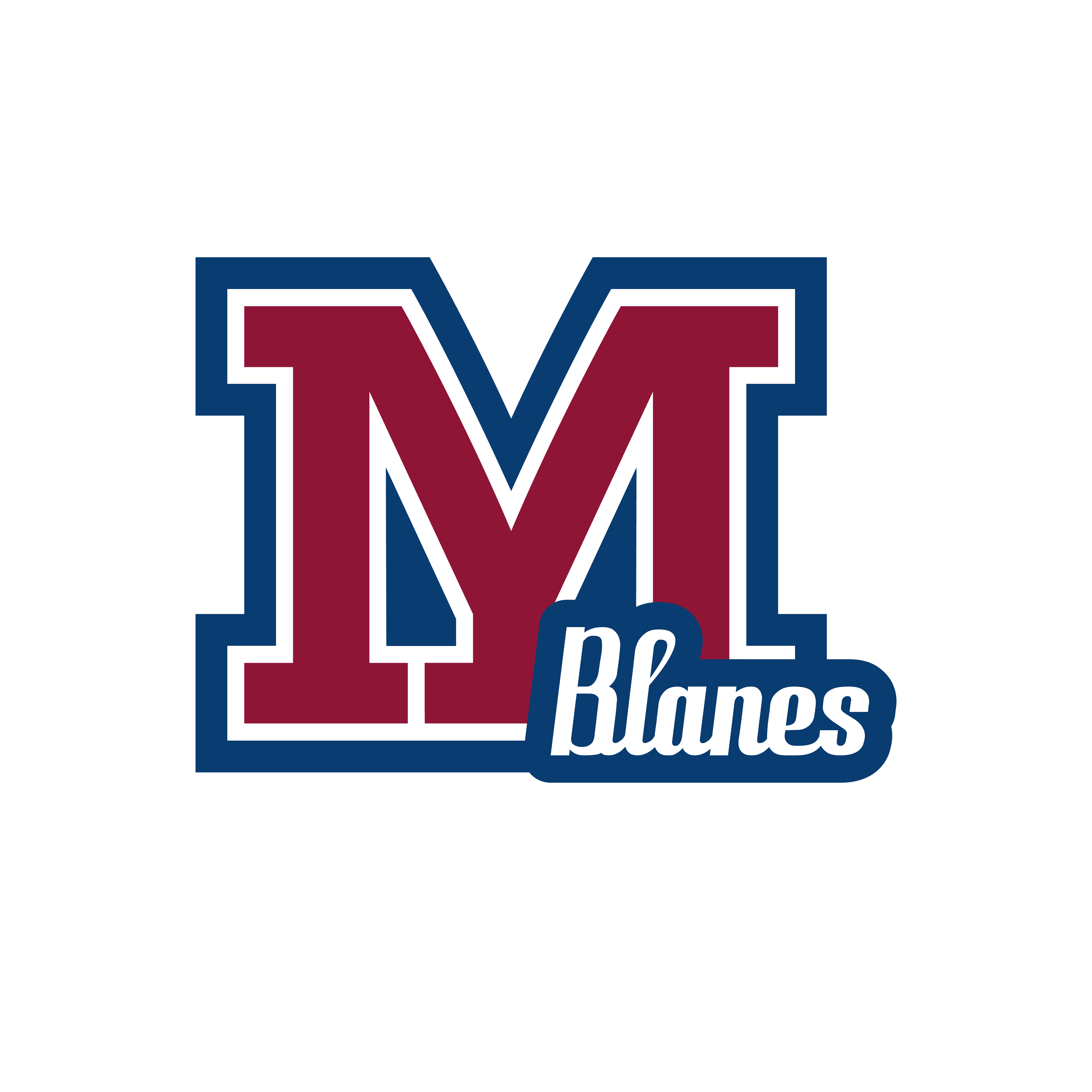 Logo Manyanet Blanes