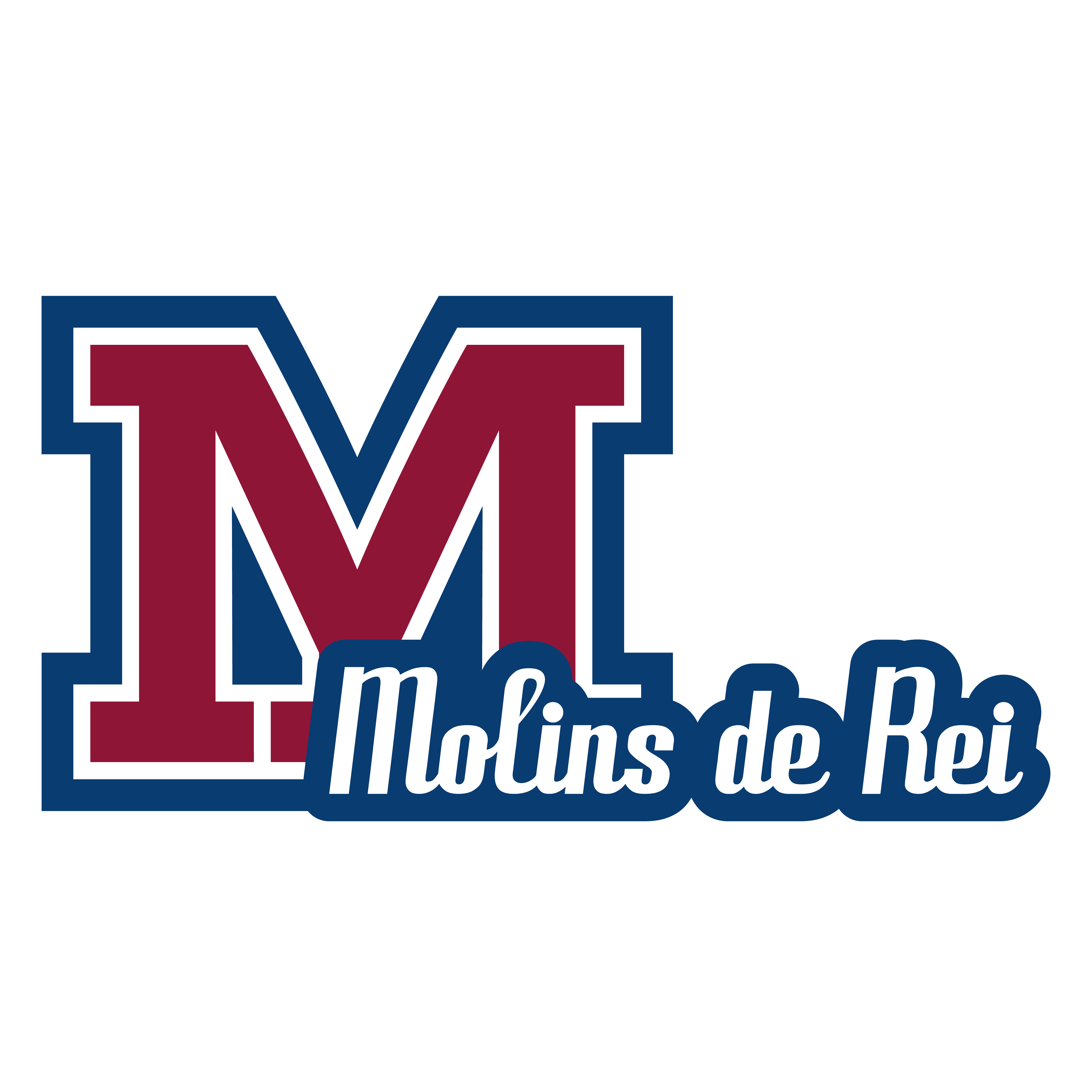 Logo Manyanet Molins de Rei